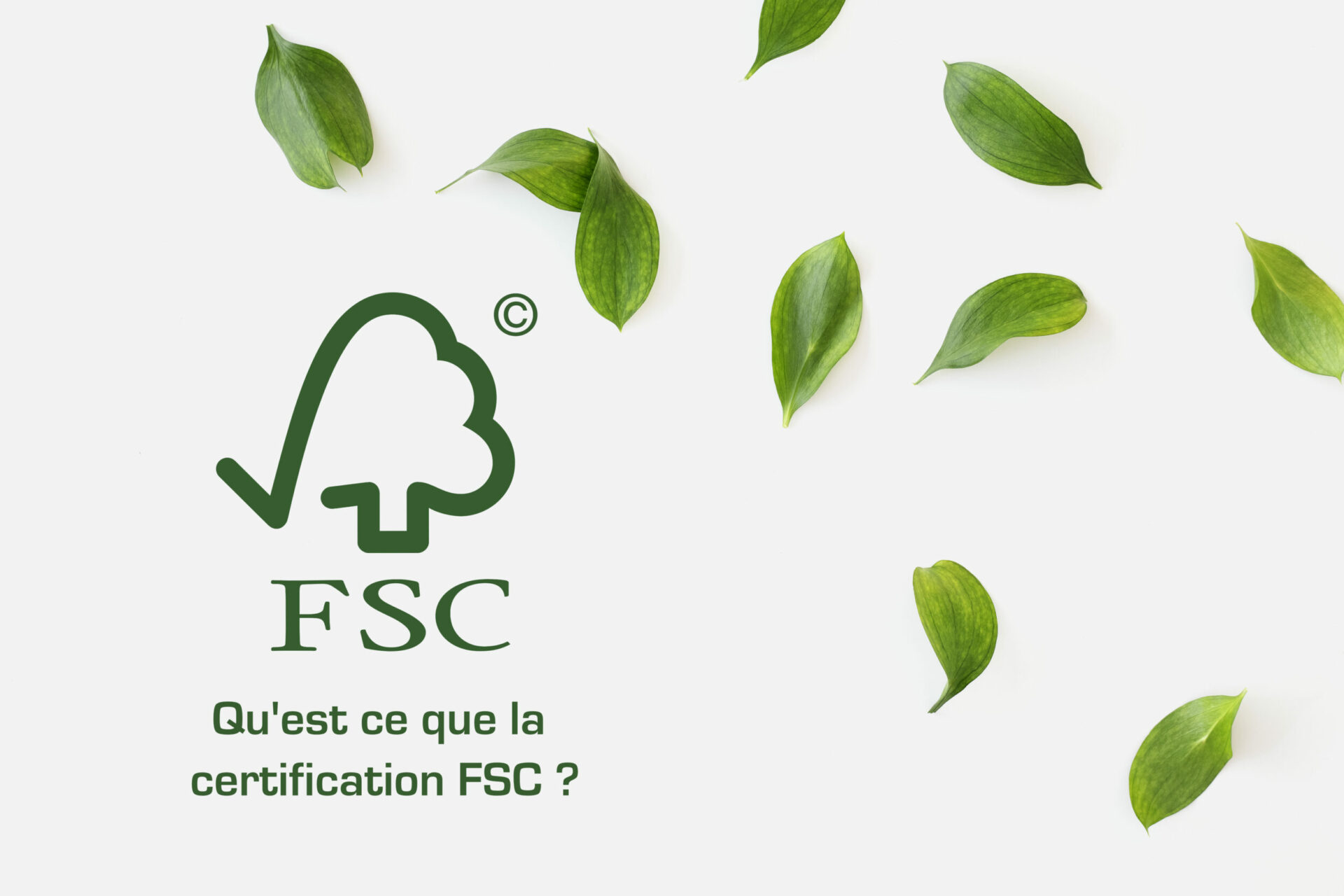 Qu'est ce que la certification FSC ?